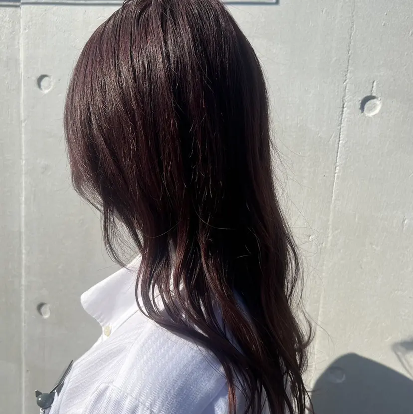 平山 沙羅の掲載