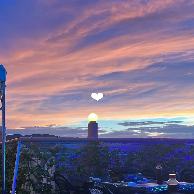 𝙎𝙀𝙆𝙄 𝙍𝙀𝙄𝙉𝘼の掲載