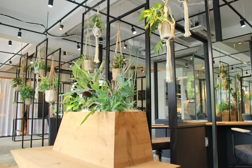 FERIA  fam 桃山台　　菊田彩花の掲載