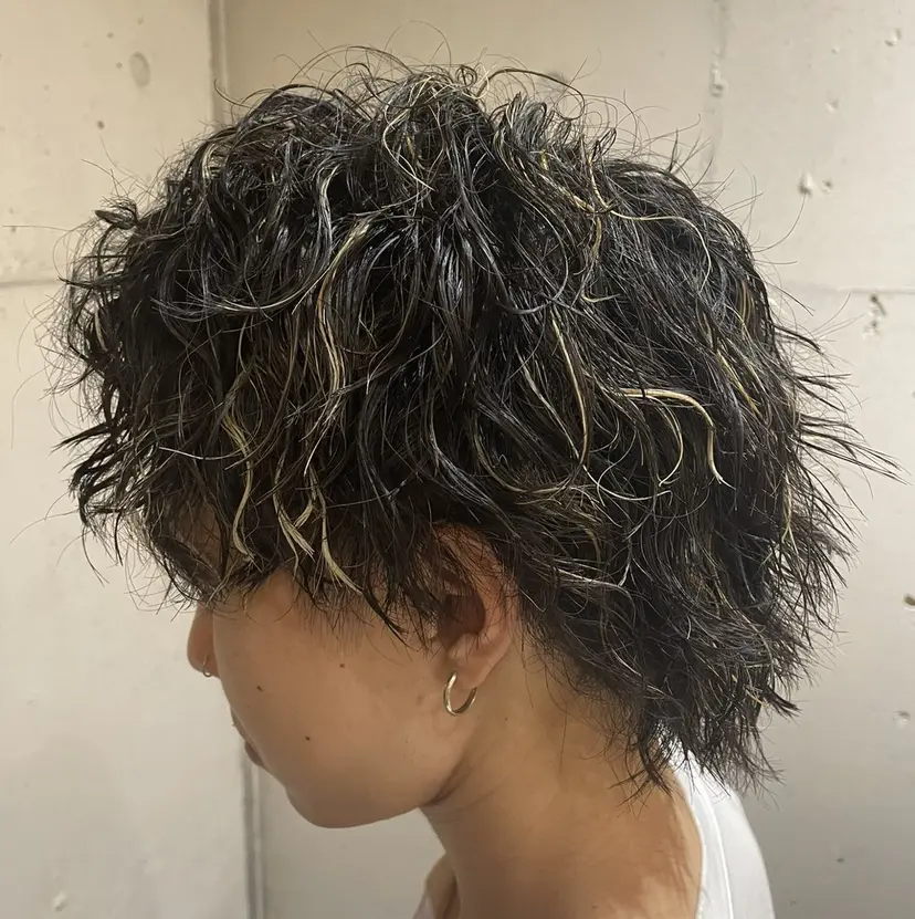 野村 大樹の掲載