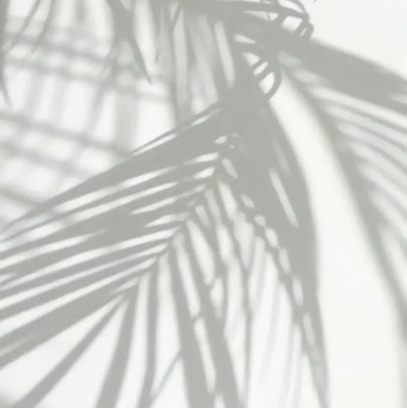 海外ヘア/透明感ヘア 湘南台/hinakoの掲載