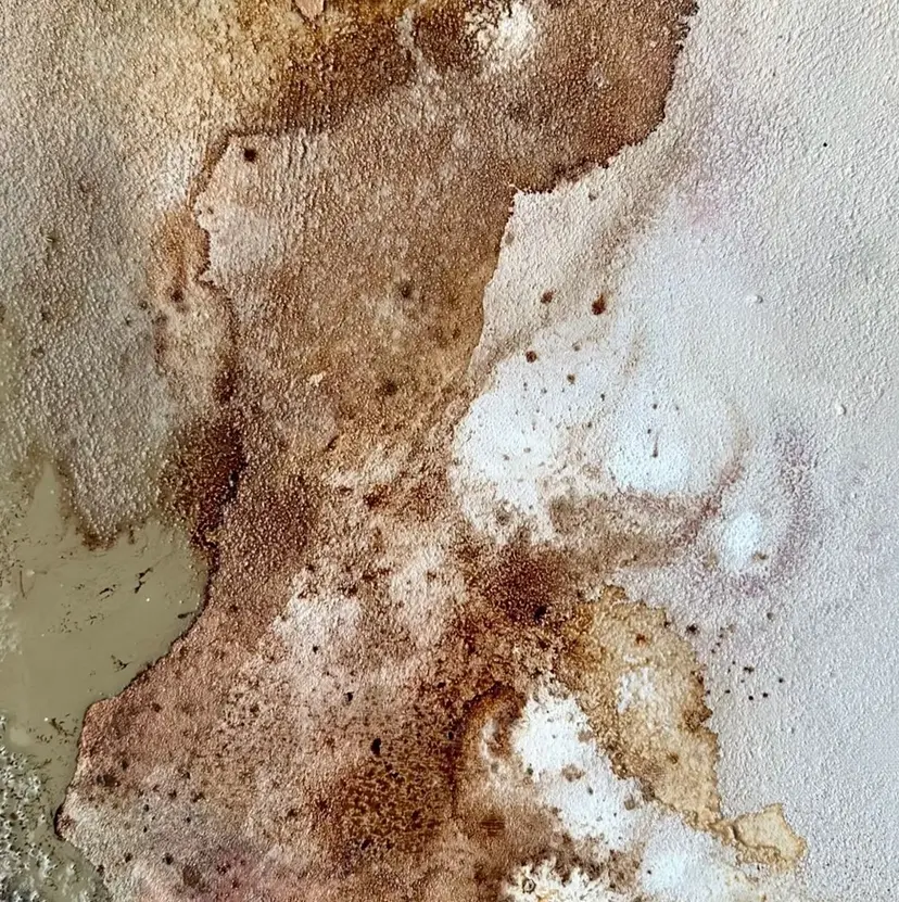 高円寺 nail chieの掲載