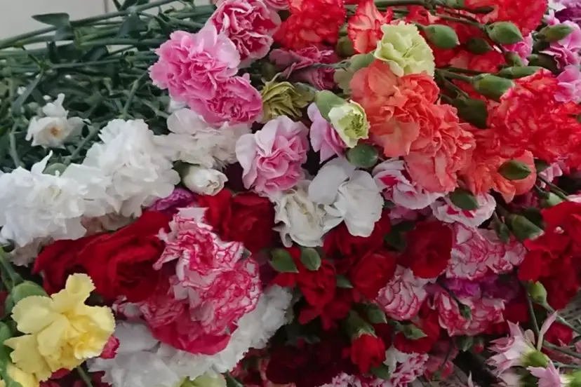 BlancBijou ブランビジュの掲載