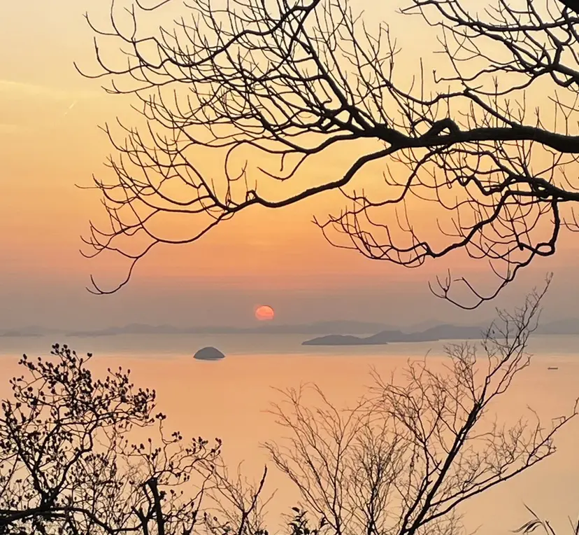 藤田 虎大朗の掲載