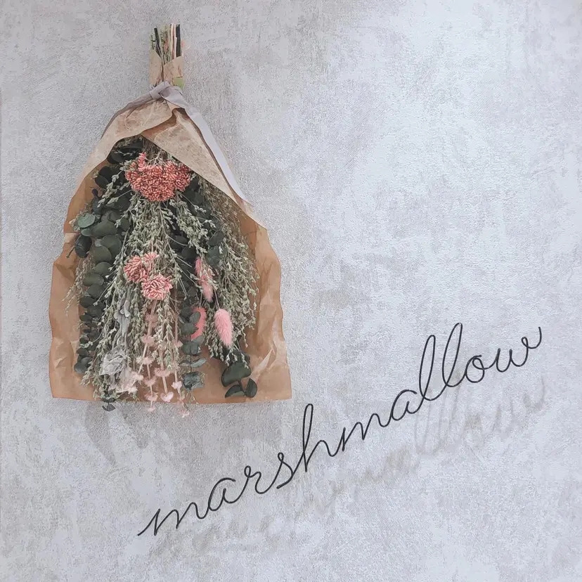 Takagi Nanamiの掲載