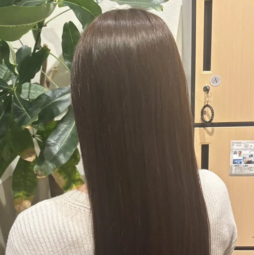 森田 桃華の掲載