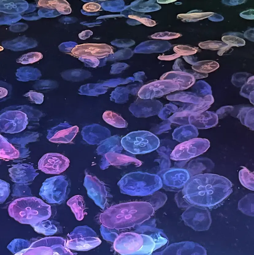 お悩み解決 HARUの掲載