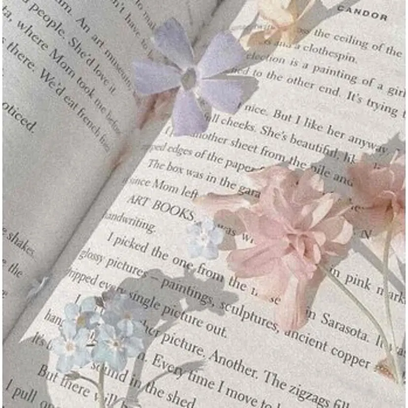 rio 【alice天神店】の掲載