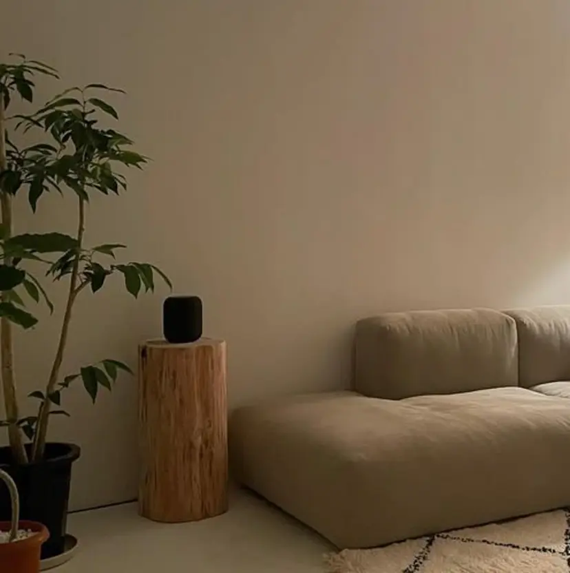 Sensi･:* Naoの掲載