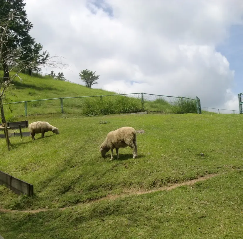🍀髪質改善ツヤ カラー🩰さくらの掲載