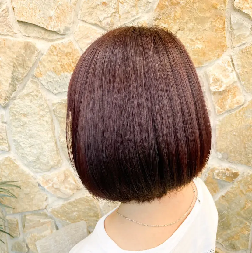 高見 紗代の掲載