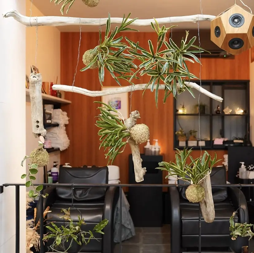 ブリーチカラー🥣 デザインカラー🌈の掲載