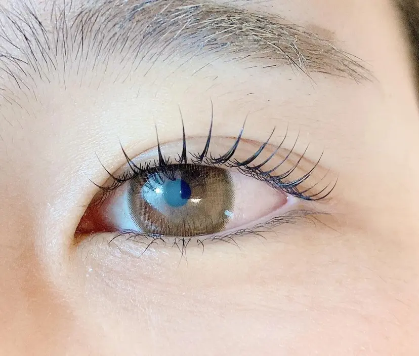 Spica eyelashの掲載