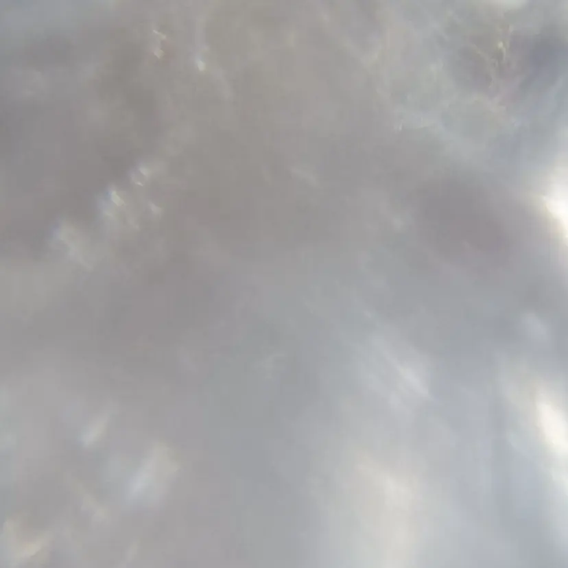 RENA 【Earth】の掲載