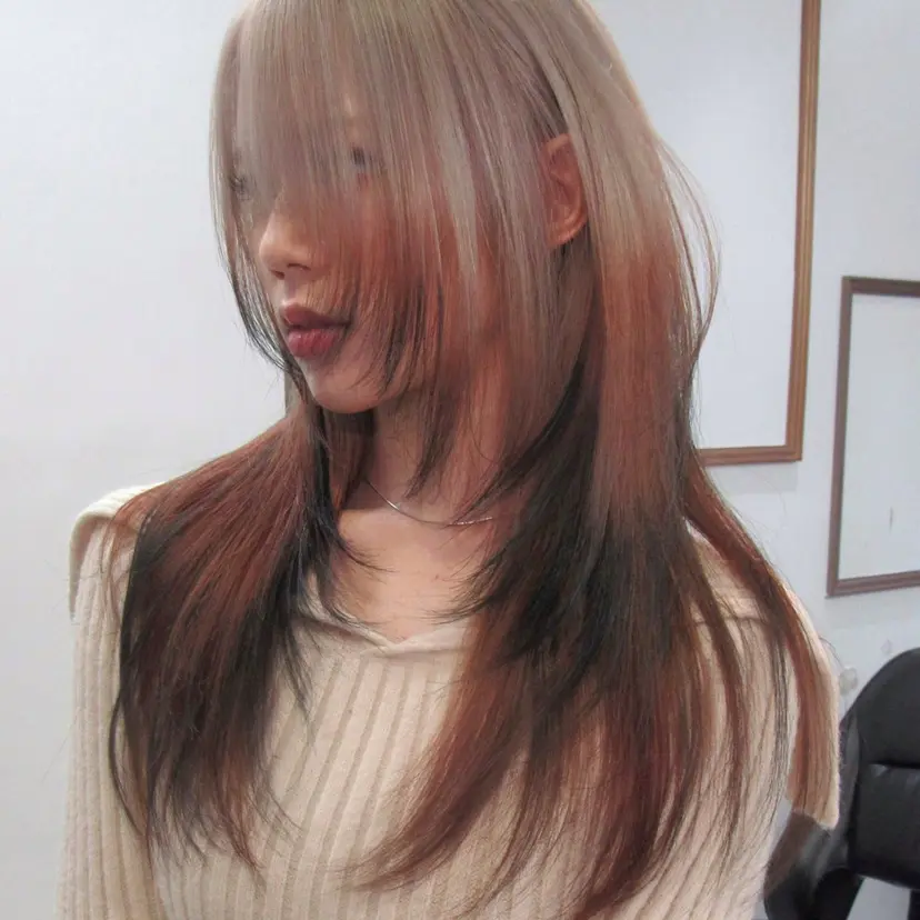 chloe 【クロエ】の掲載