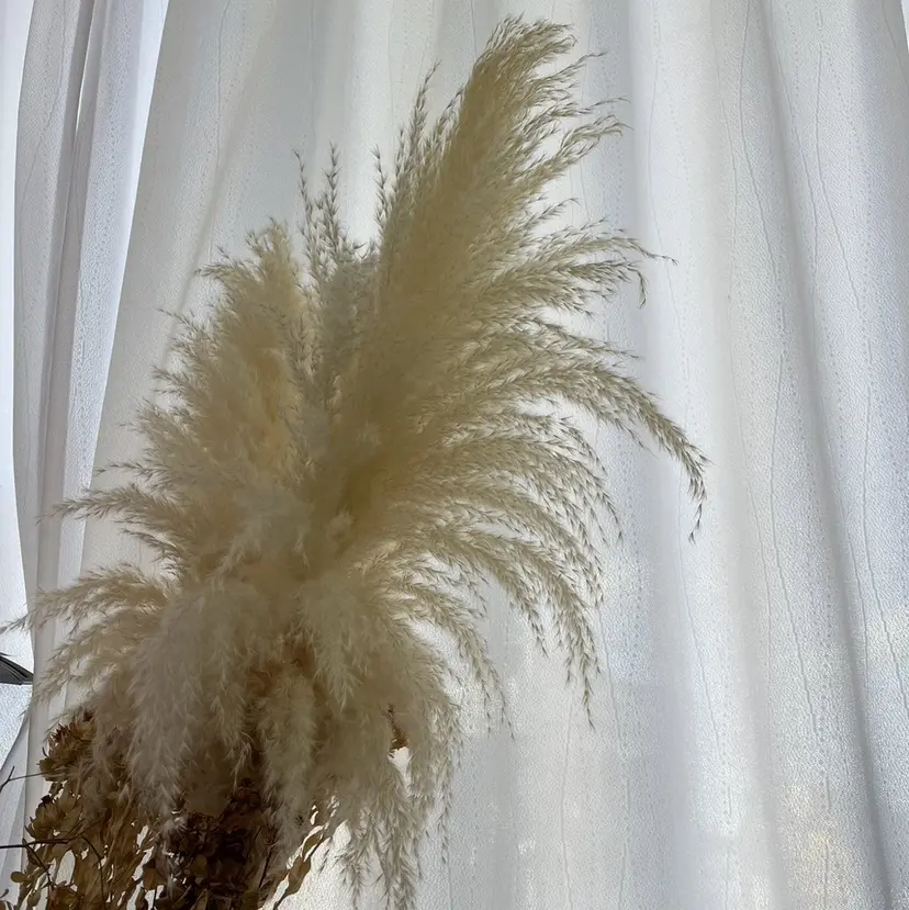 Nail Salon Luire  Naoの掲載