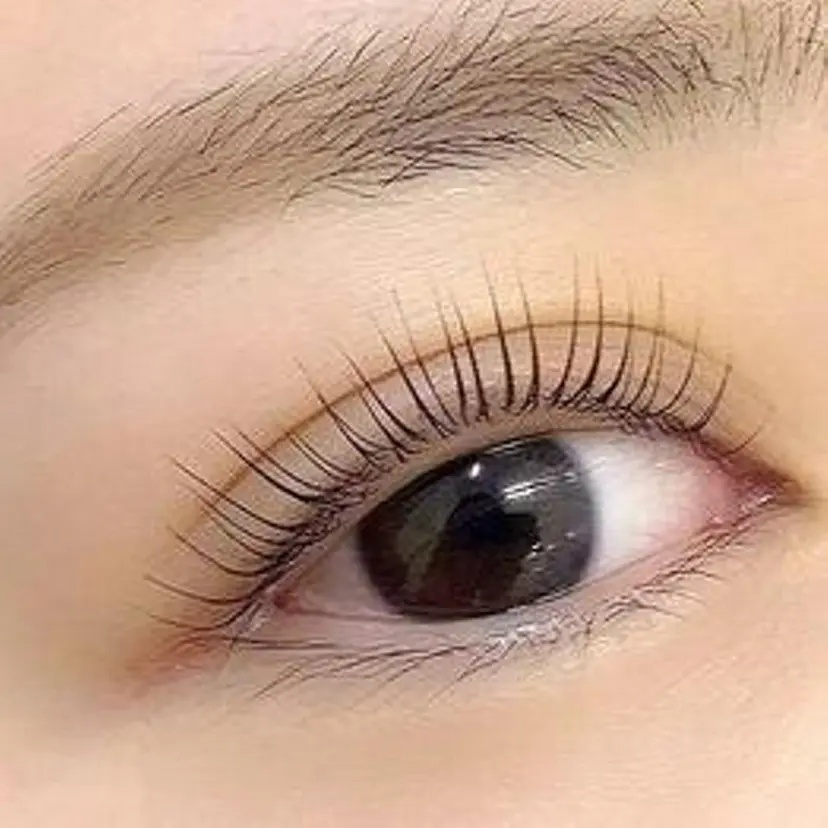 マリーテレジア🌸 ENDOの掲載