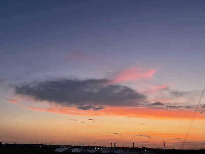 paljon えな 静岡市の掲載