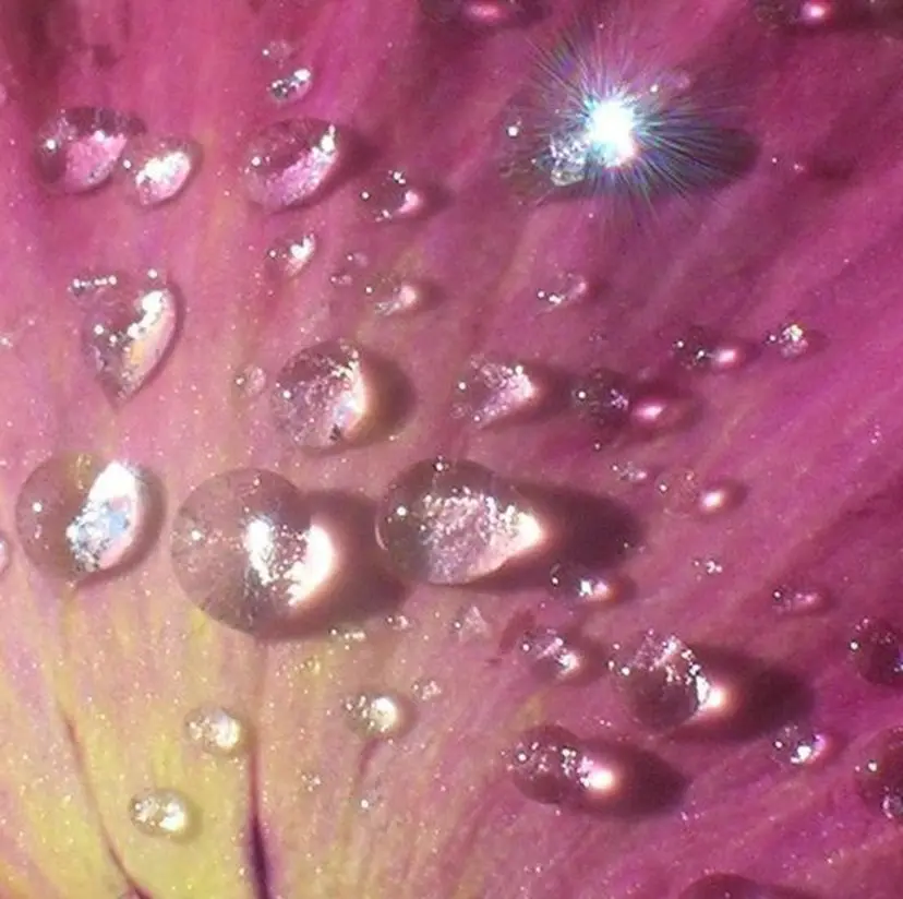 𝑲𝑨𝑯𝑶 艶カラー/盛れヘア♡の掲載