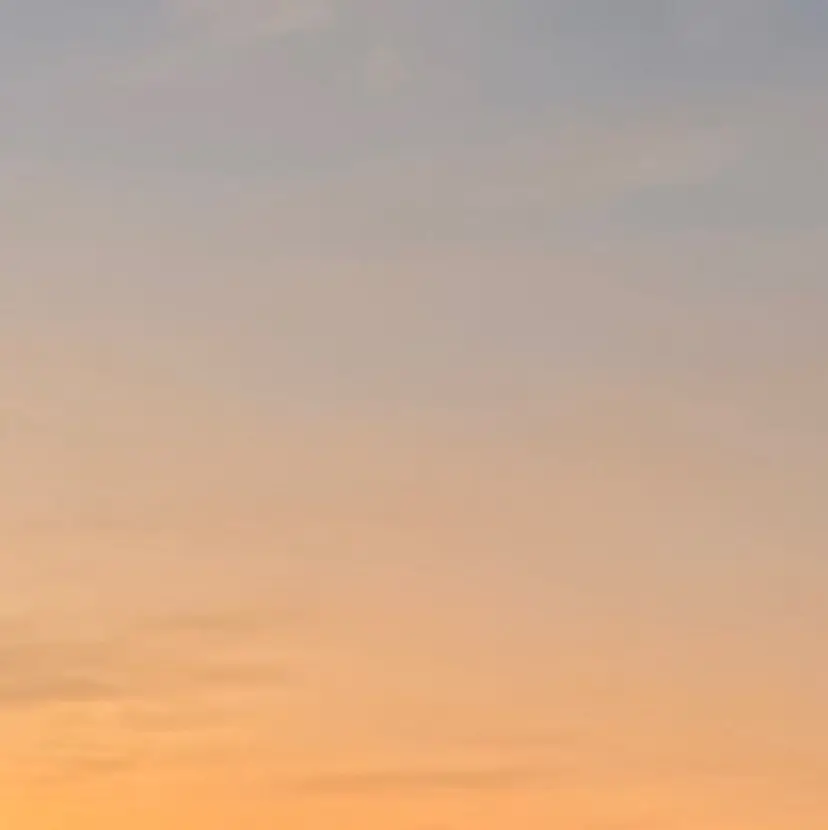 Schon Yuinaの掲載