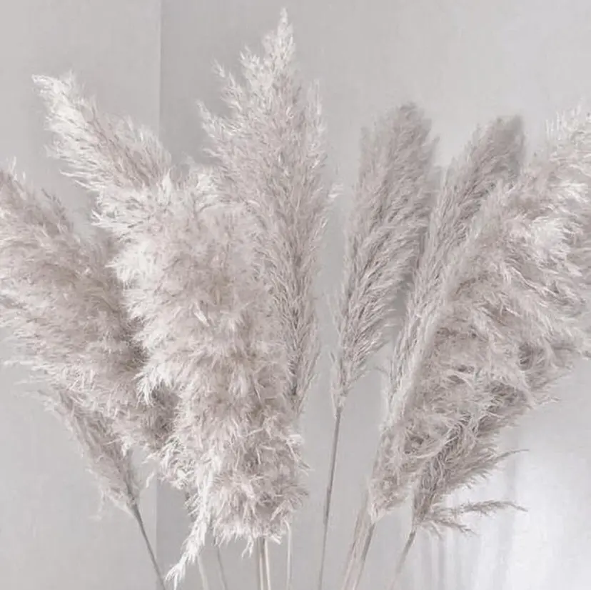 🤍🐰韓国ヘア/ レイヤー🤍菅原麻里の掲載