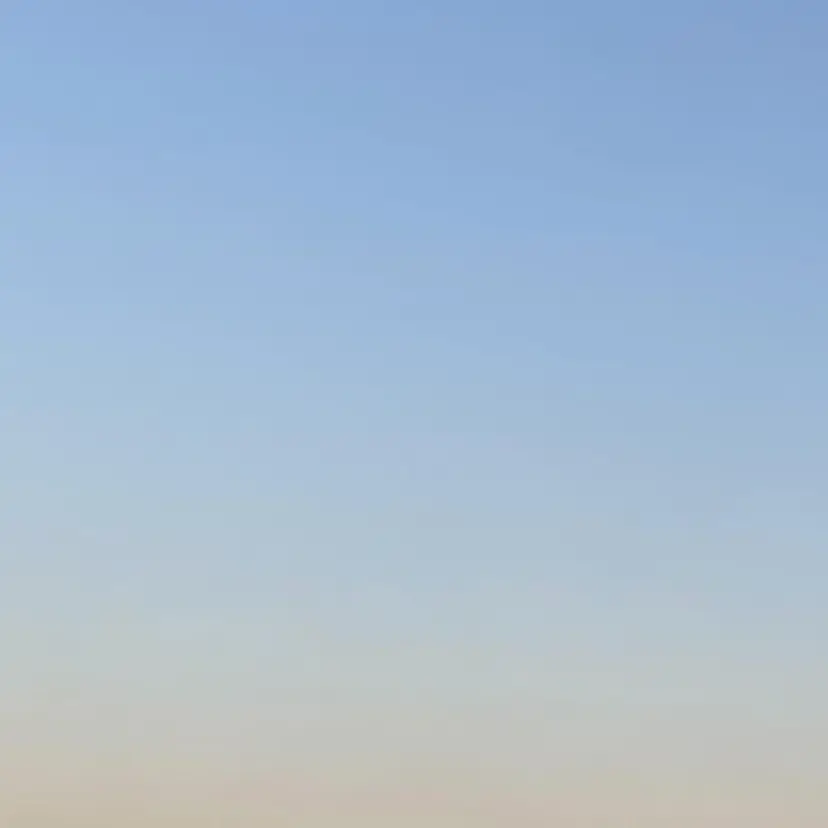 lepleindor rinの掲載