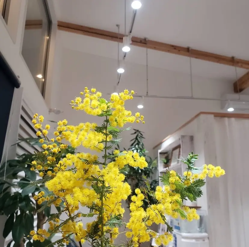 COLOR. Hagiwaraの掲載