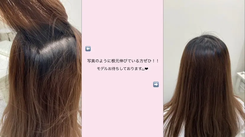 高木 汐梨の掲載