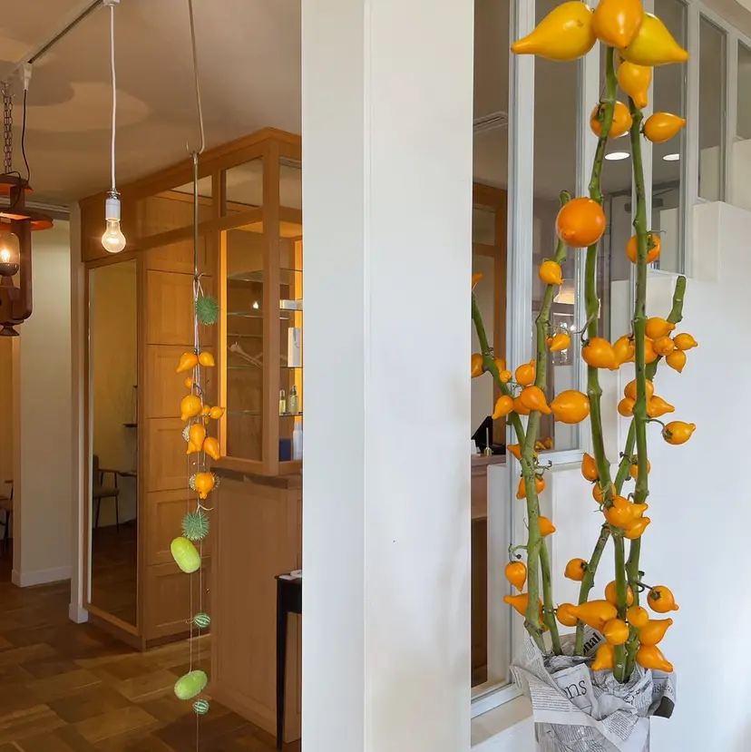 水野 愛弓の掲載