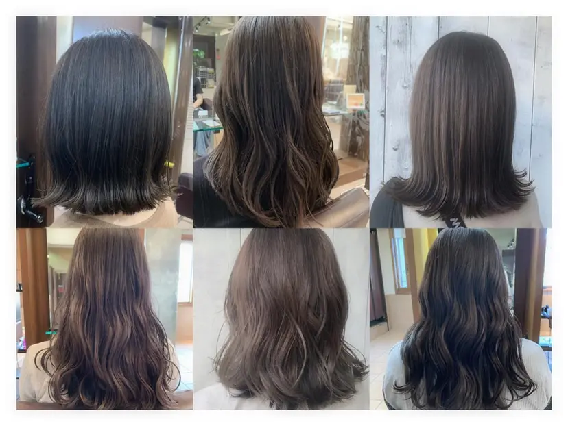 菅野 美咲の掲載