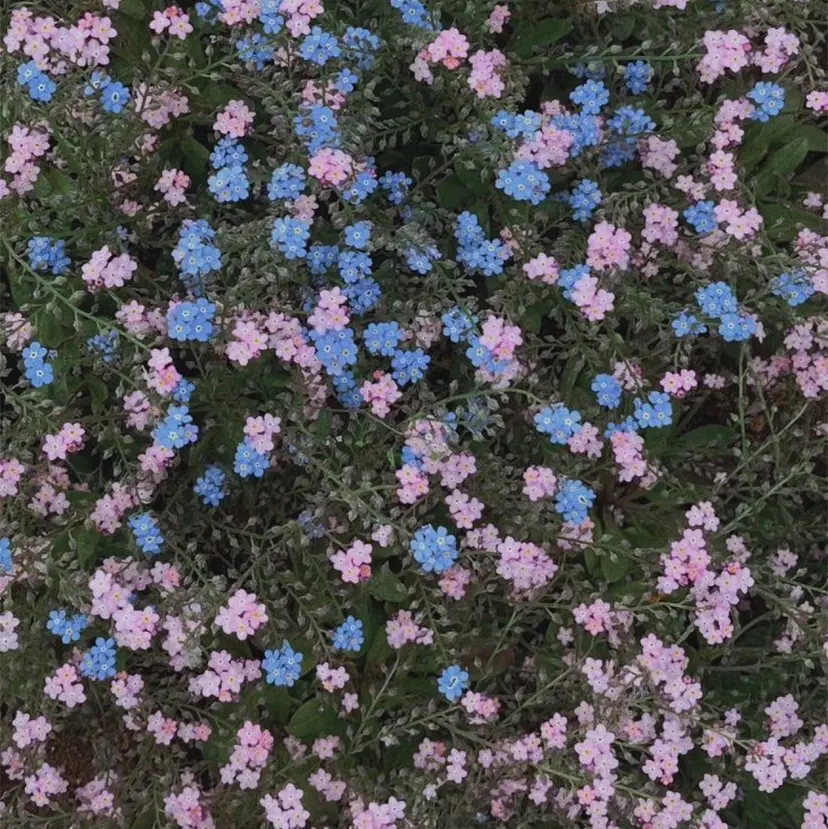 モデルさん募集中🎀 カラー・アレンジの掲載