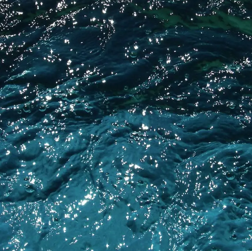 サラ艶髪が得意/ 新崎クリスの掲載