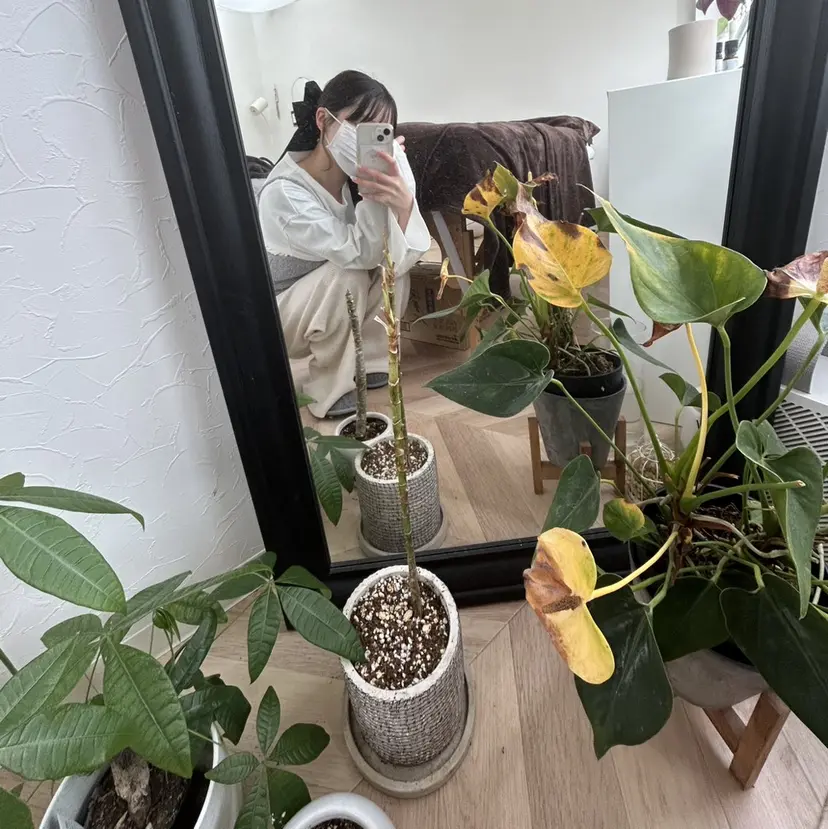 nagata yuukaの掲載