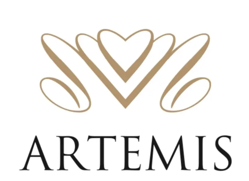 【ARTEMIS】 uedaの掲載