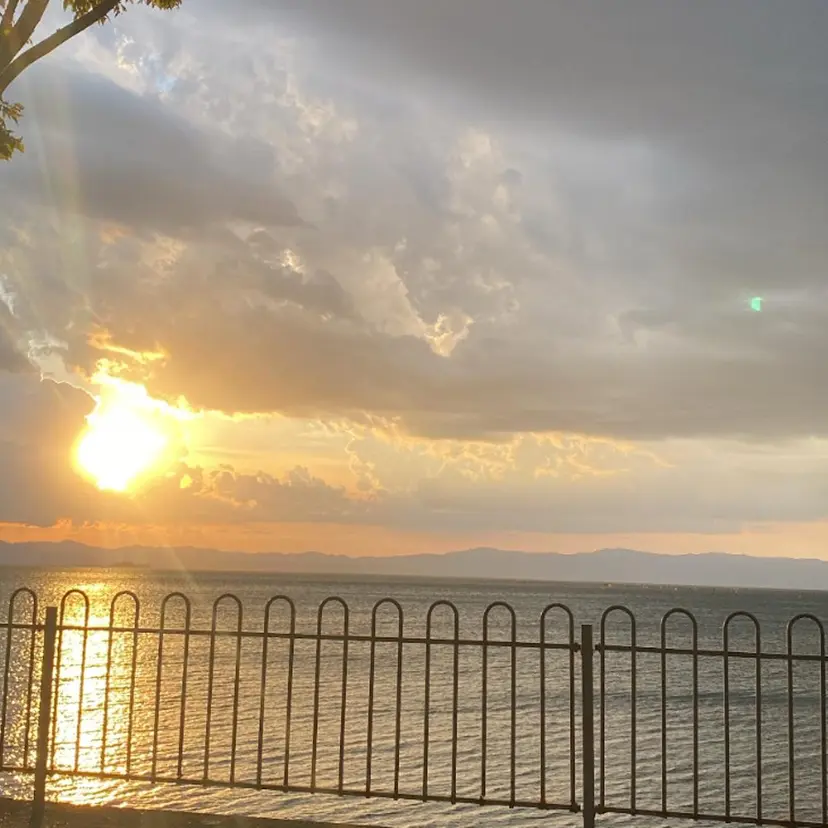 杉山 七海の掲載