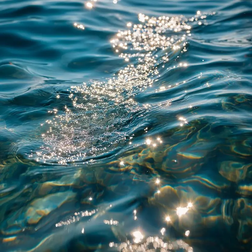 Omi〻北九州 ハーブピーリングの掲載