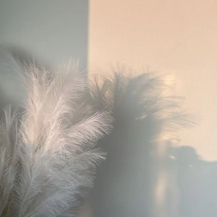 yurina ✧‧˚⌖. °の掲載