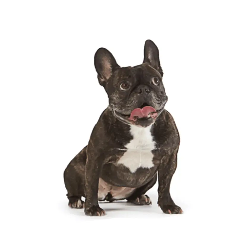 沼田 るみねの掲載