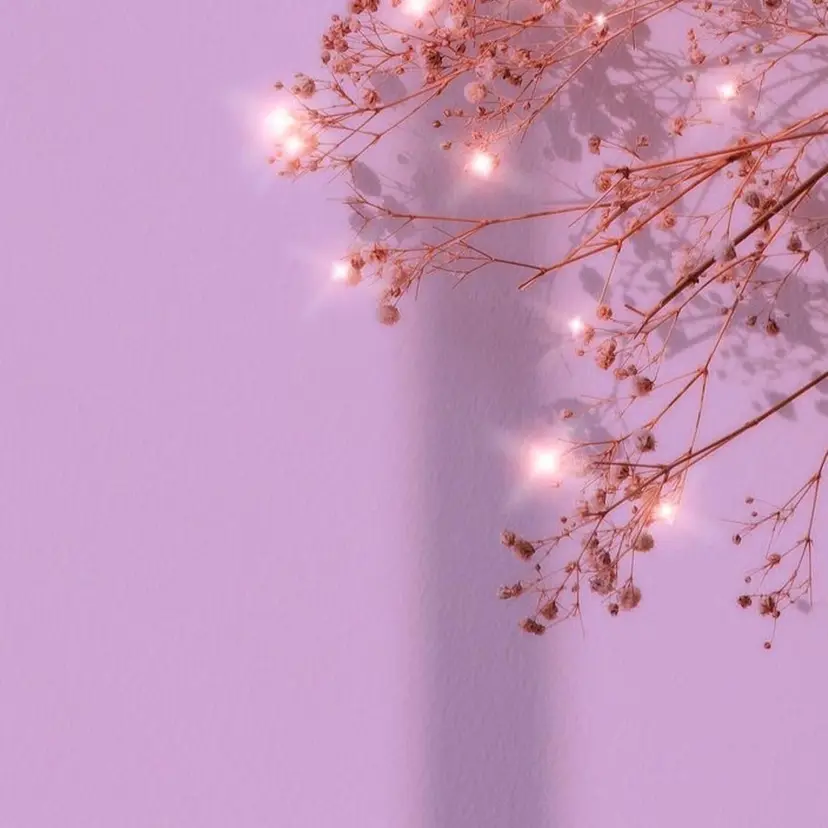 Irima 岡山店 研修生の掲載