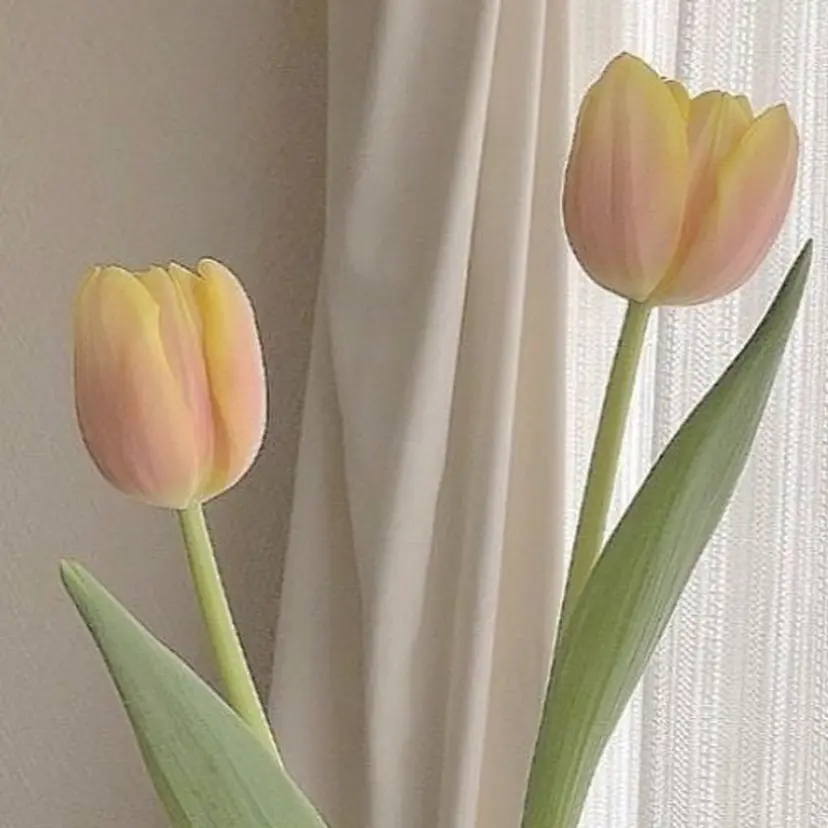 eyelist riko 東川口の掲載