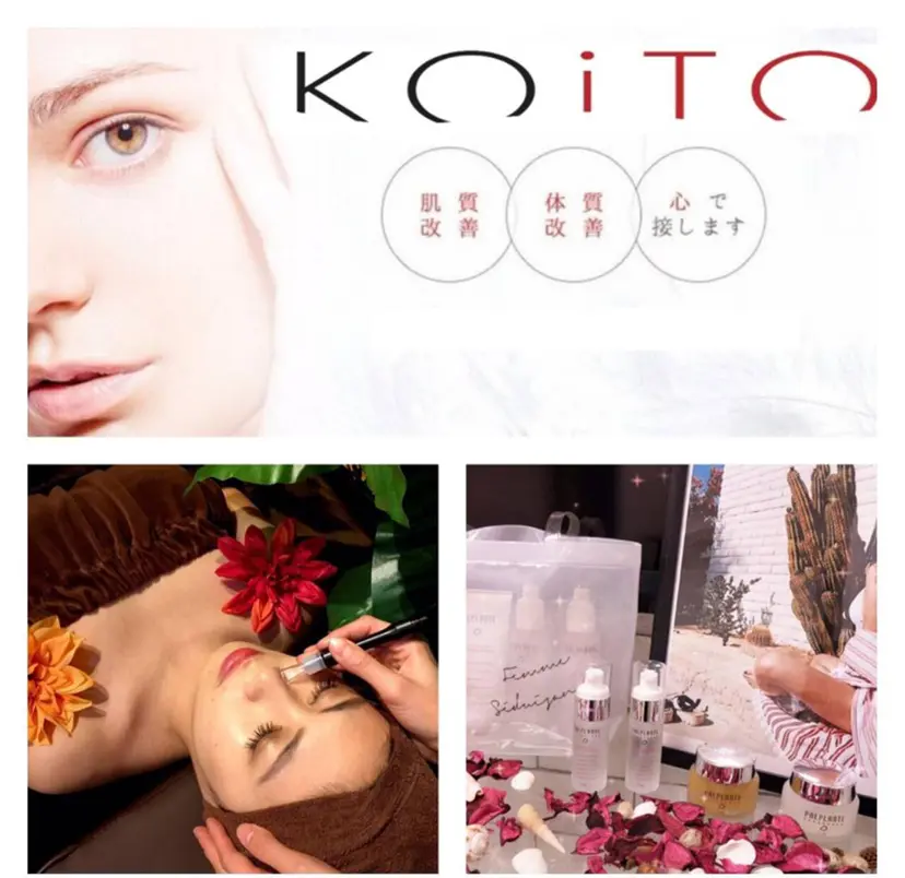 松村 莉紗子の掲載