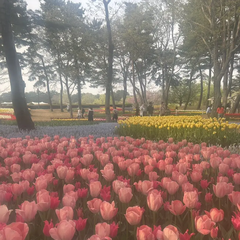 🎀艶カラー🎀 Arisa/宇都宮の掲載