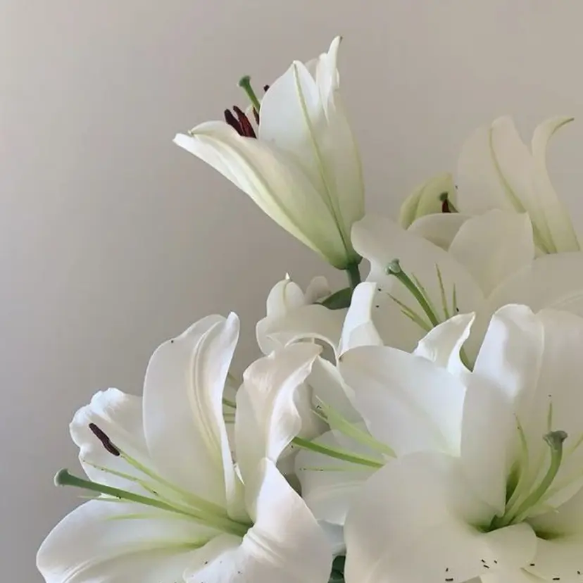 MINAMI 🌙の掲載