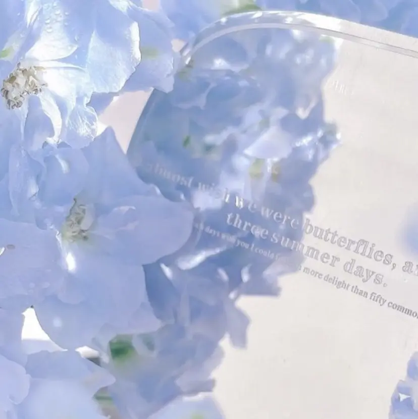 🕊MaazLash 4🕊️の掲載