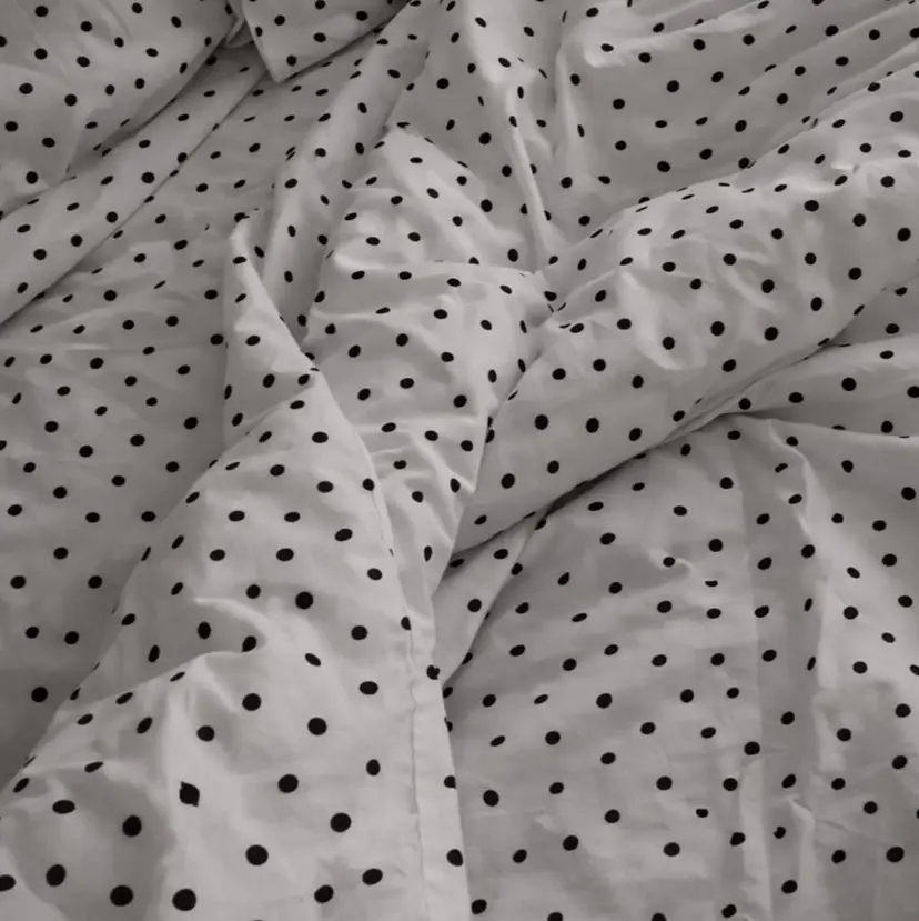 shilon mikuの掲載