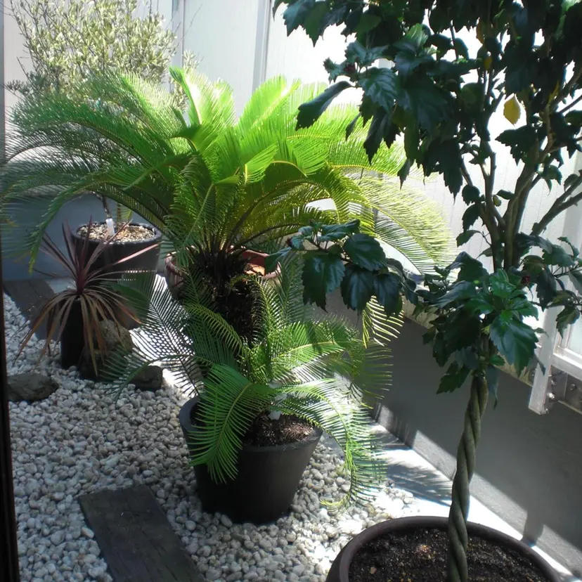 ロイヤル•セラピスト 【Tabata】の掲載