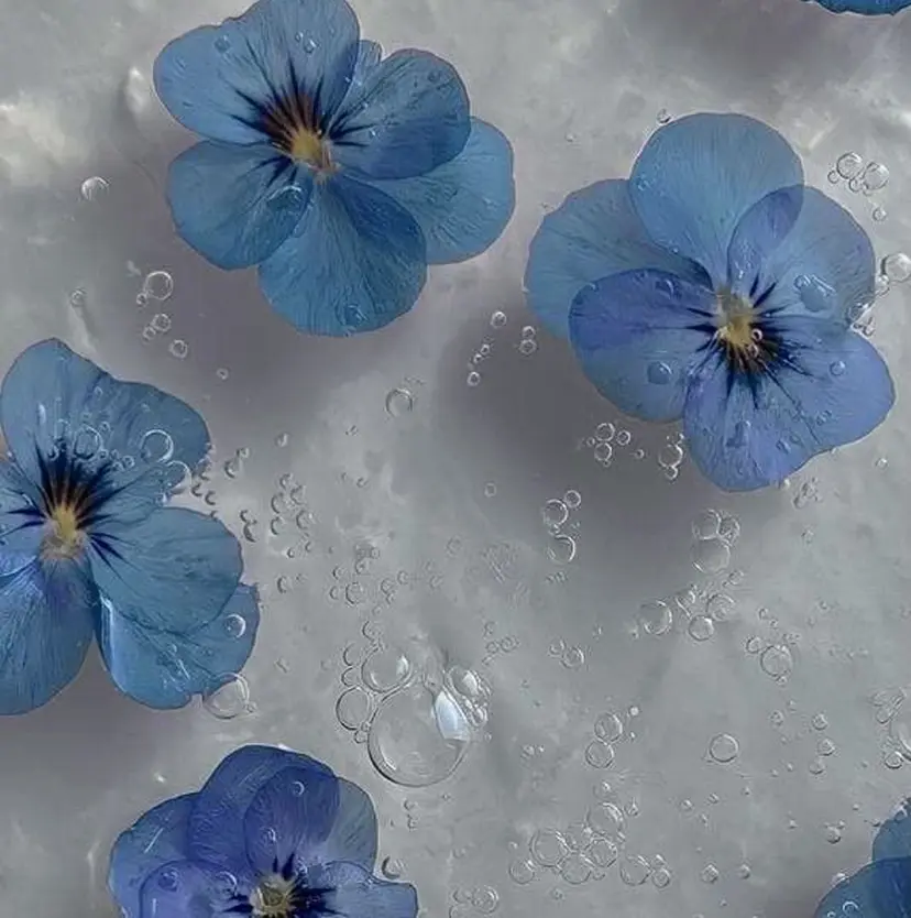 🌀ルカ パーマ 🌀の掲載