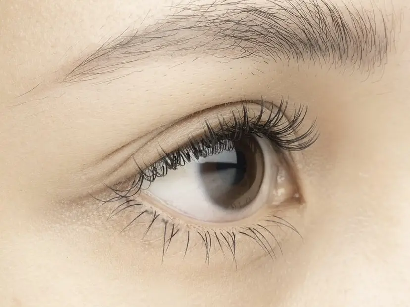 Eyelash Booの掲載