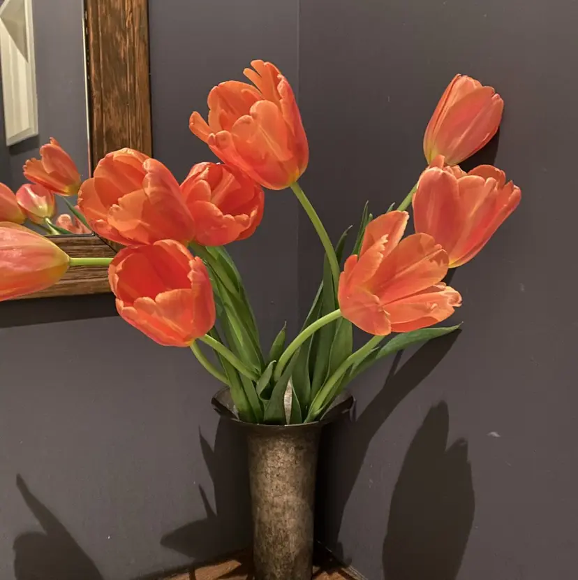 シマグチ 🌷 jolie名駅の掲載