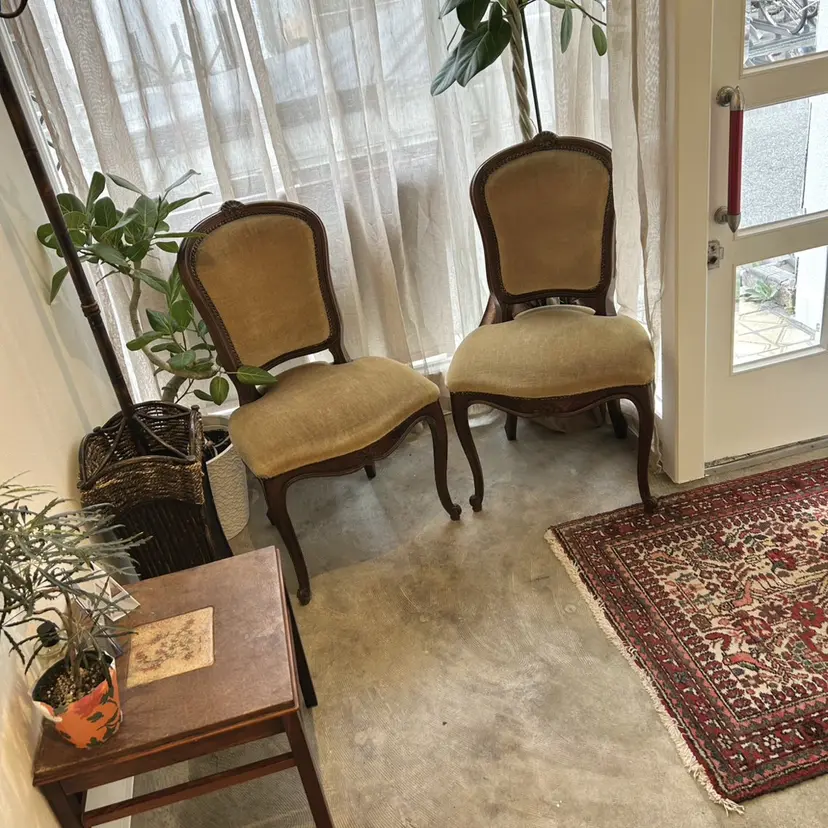 olive 藤枝の掲載